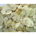 High quality factory price canned champignon mushroom slices
